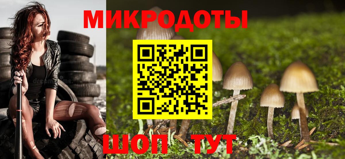 Зима  Псилоцибиновые грибы мицелий  Галлюциногенные грибы прущие грибы  Вход с VPN 